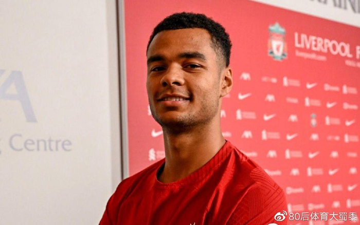 和创造力的 和创造力的